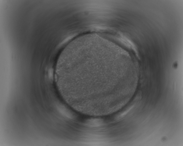 X0000100390067200807031959