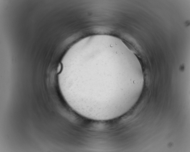 X0000100390071200807031959