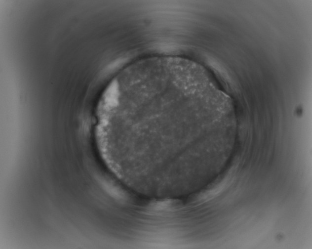 X0000100390072200807031959