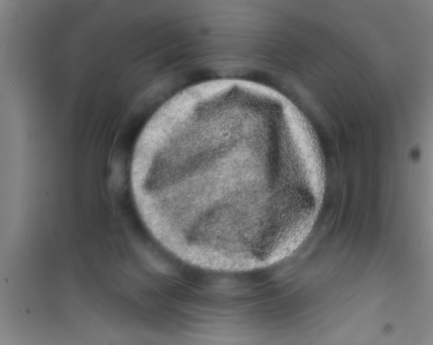 X0000100390074200807031959