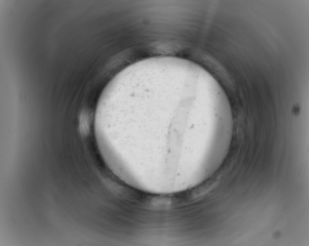 X0000100390075200807031959