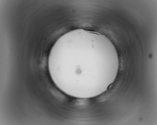 X0000100390077200807031959