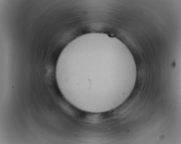 X0000100390079200807031959