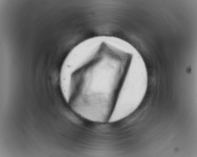 X0000100390081200807031959