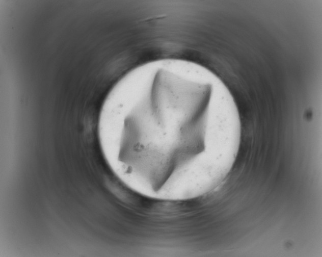 X0000100390082200807032000