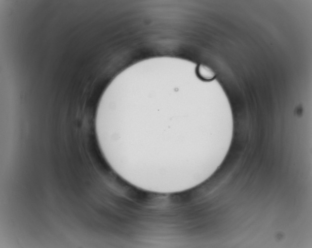 X0000100390083200807032000