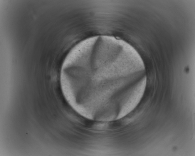 X0000100390084200807032000