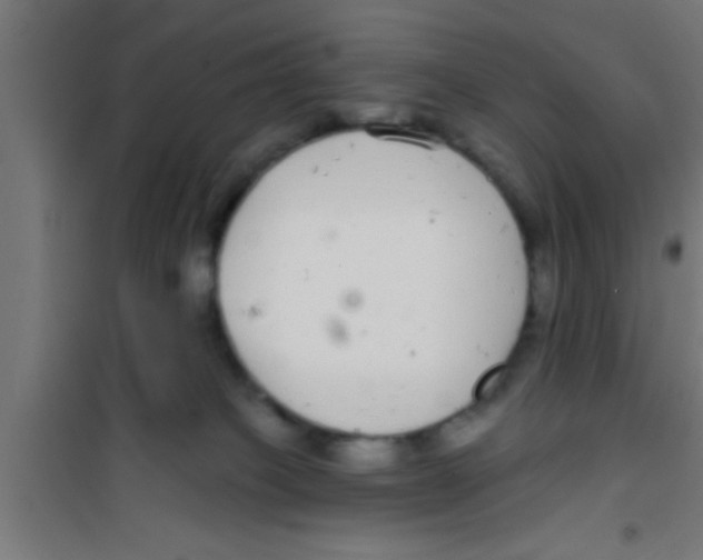 X0000100390085200807032000