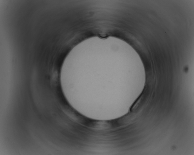 X0000100390087200807032000