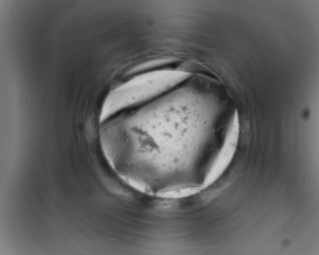 X0000100390088200807032000