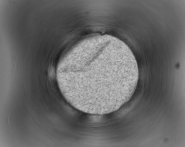 X0000100390089200807032000