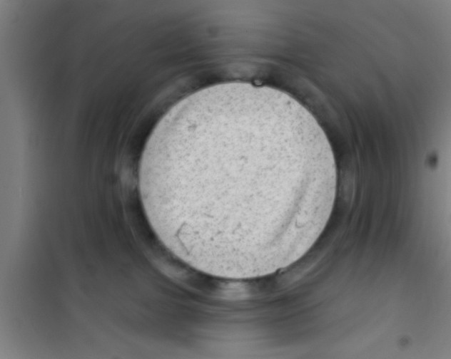 X0000100390091200807032000