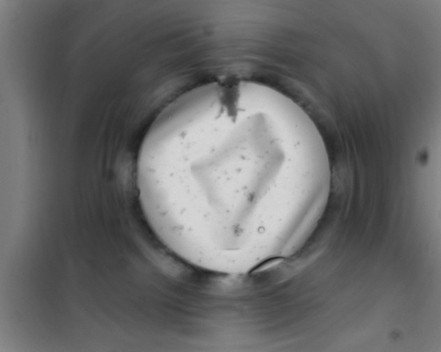 X0000100390092200807032000