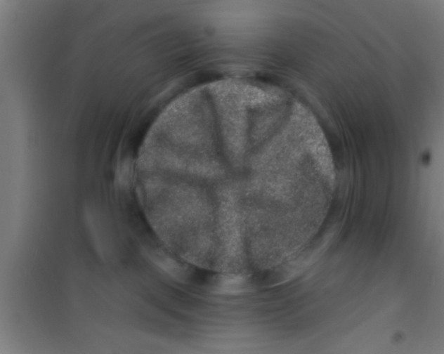 X0000100390093200807032000