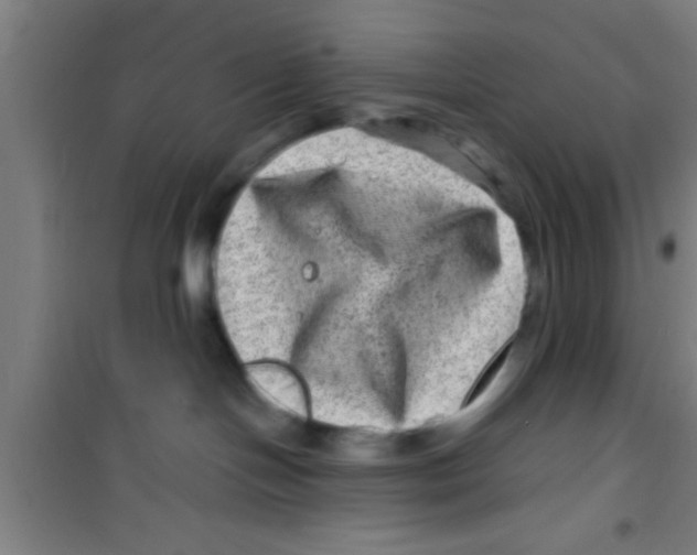 X0000100390094200807032000