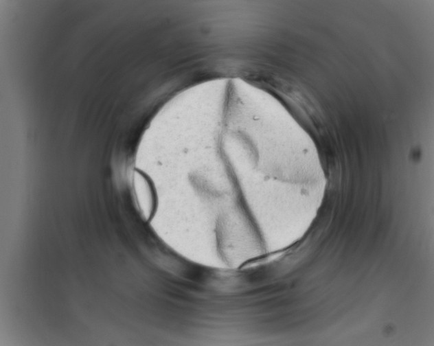 X0000100390095200807032000