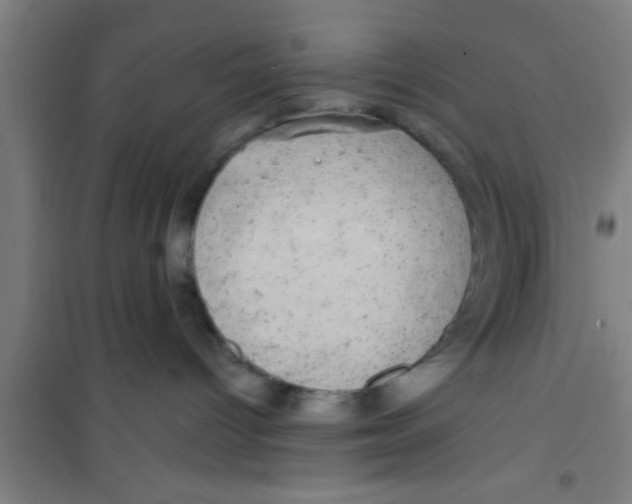 X0000100390096200807032000