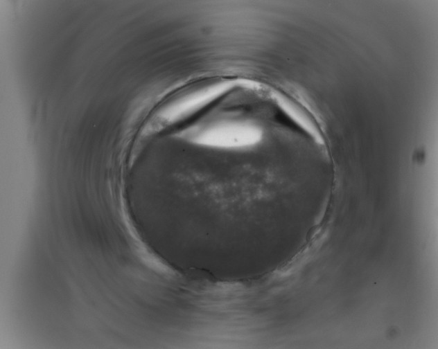 X0000100390097200807031959