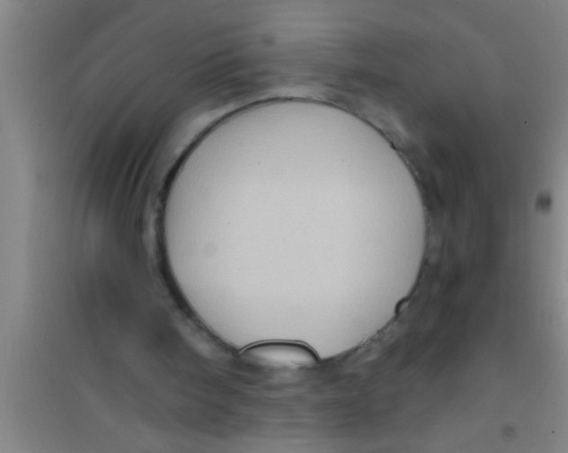 X0000100390098200807031959