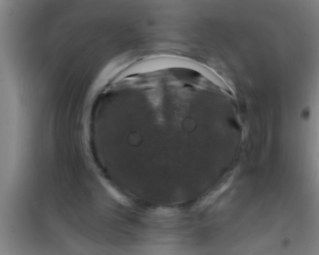 X0000100390101200807031959