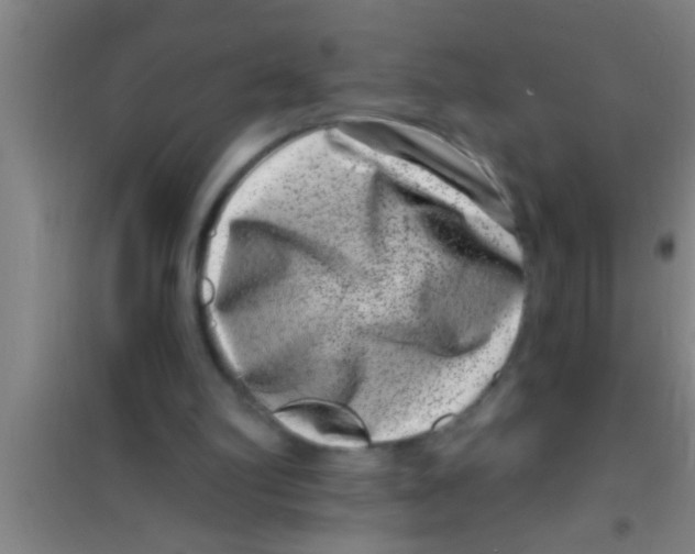 X0000100390102200807031959