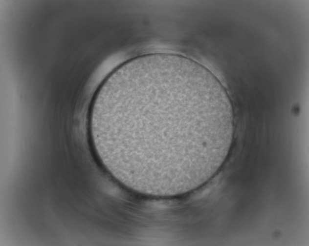 X0000100390103200807031959