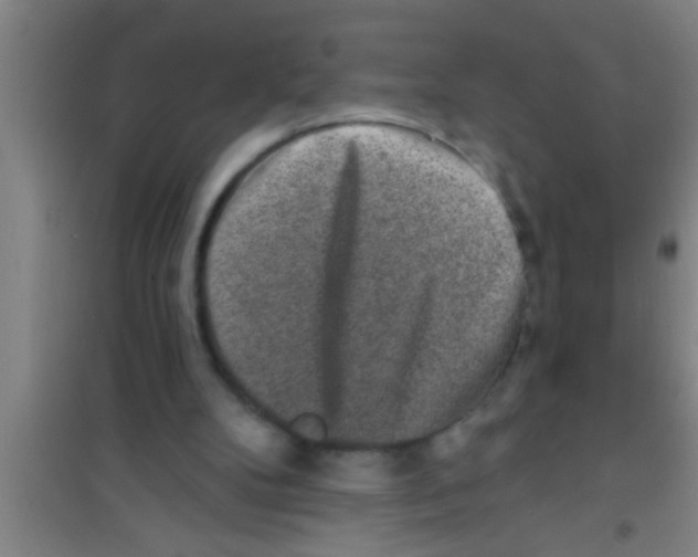 X0000100390104200807031959