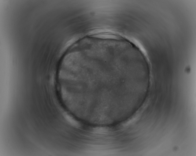 X0000100390105200807031959