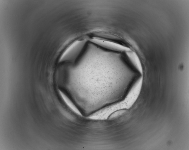 X0000100390106200807031959