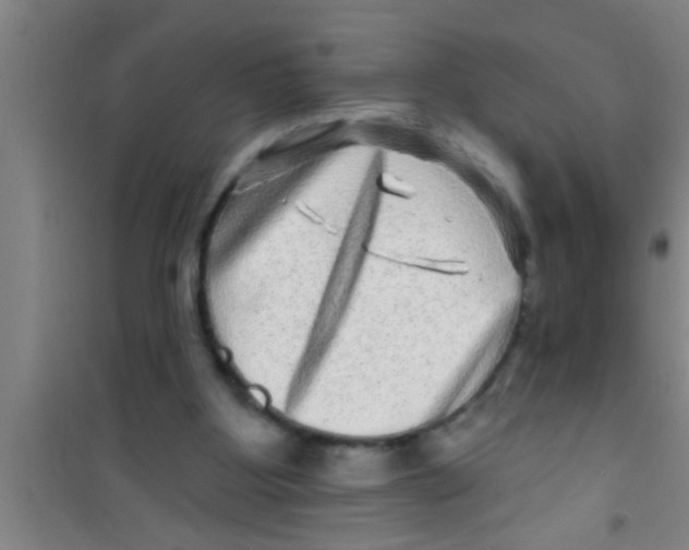 X0000100390107200807031959