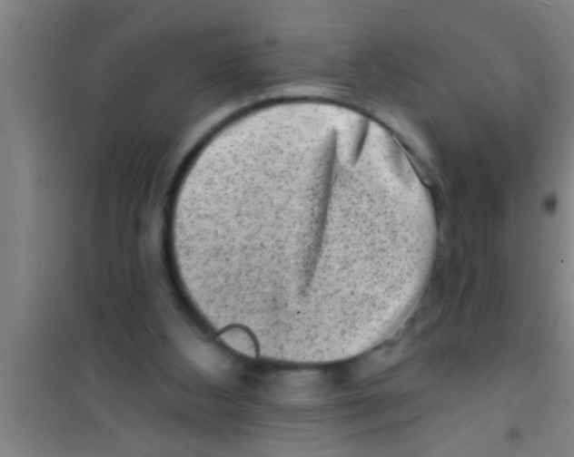 X0000100390108200807031959