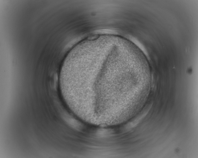 X0000100390109200807031959