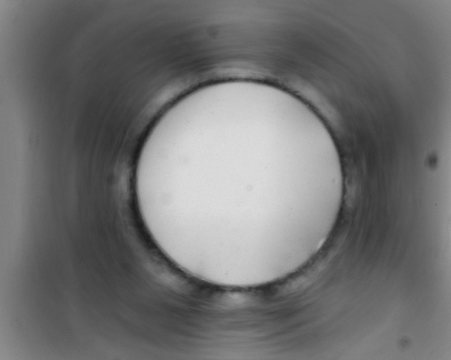 X0000100390111200807031959