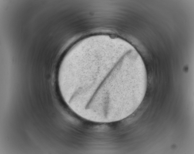 X0000100390112200807031958