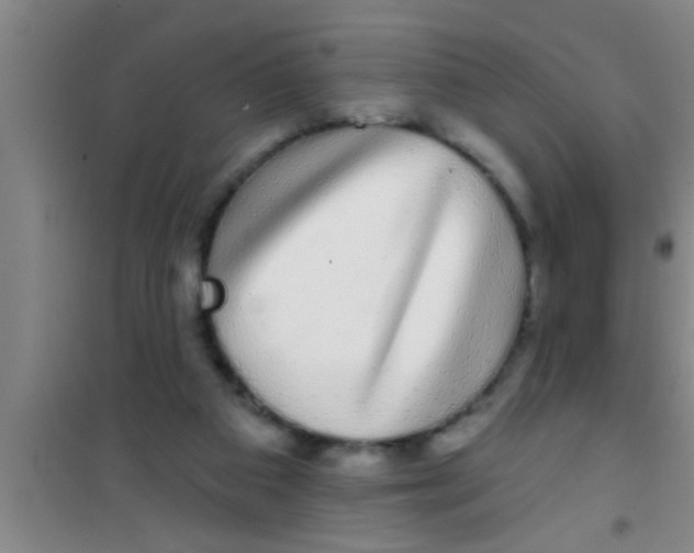 X0000100390113200807031958