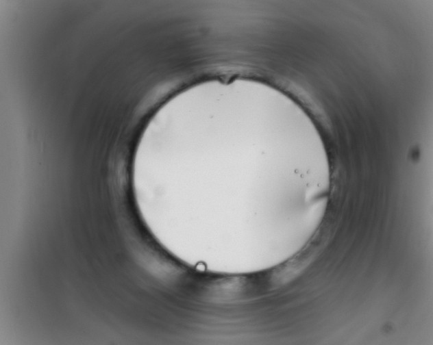 X0000100390116200807031958