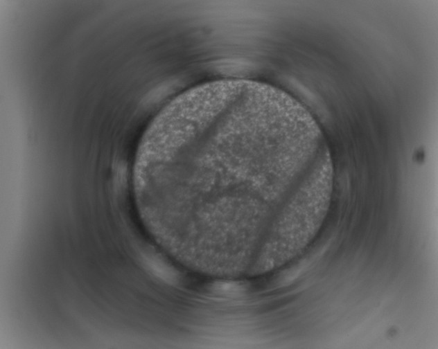 X0000100390117200807031958