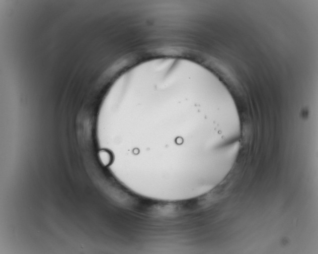 X0000100390120200807031958