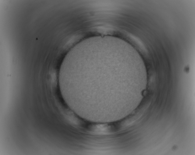 X0000100390121200807031958