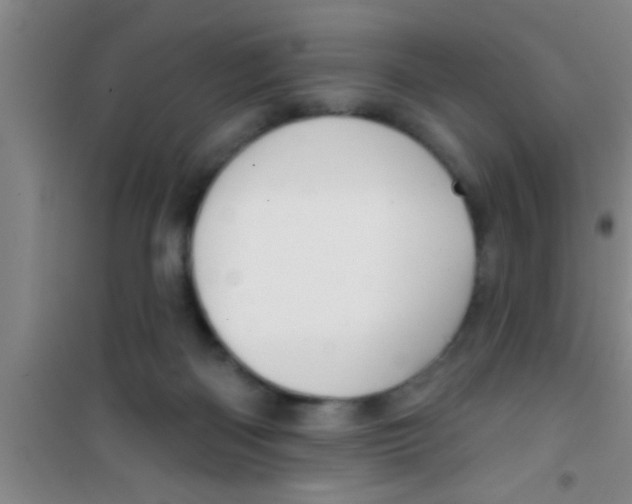 X0000100390122200807031958