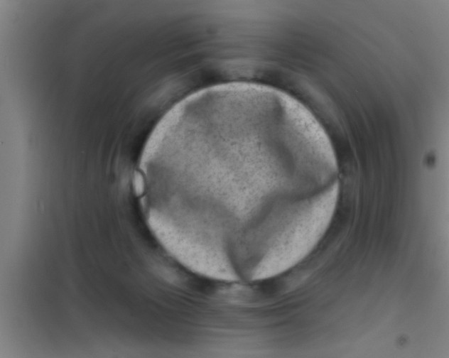 X0000100390125200807031958