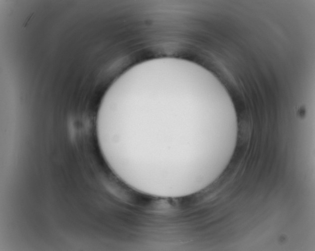 X0000100390126200807031958