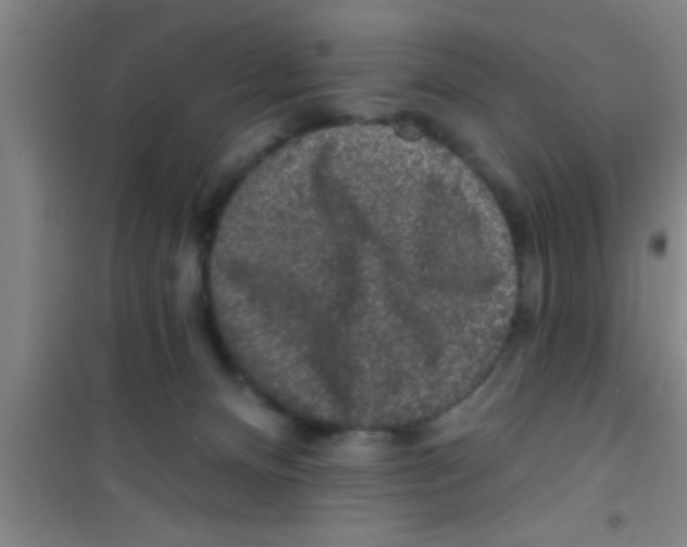 X0000100390128200807031958