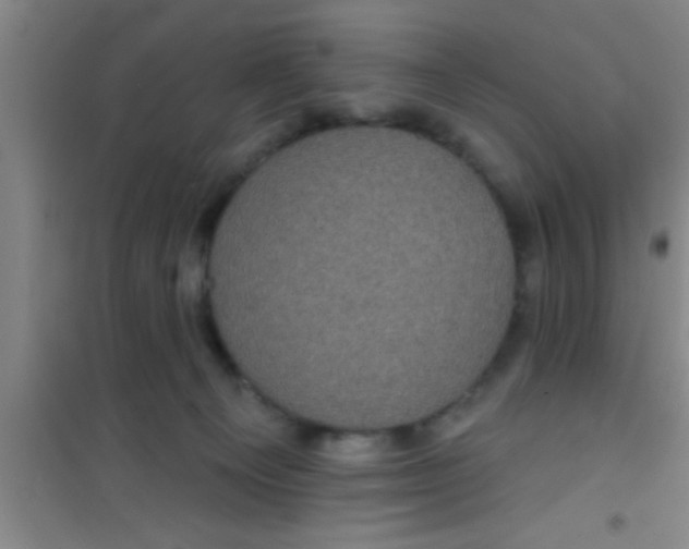 X0000100390129200807031958