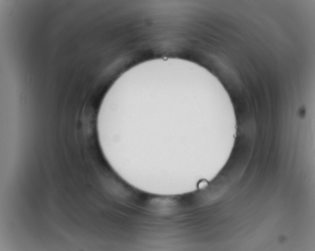 X0000100390133200807031958