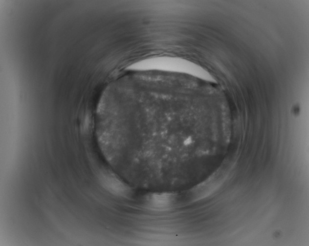 X0000100390134200807031958