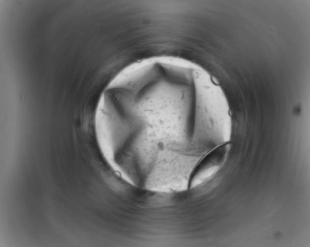 X0000100390138200807031958