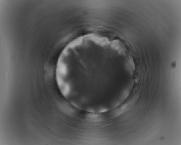 X0000100390139200807031958