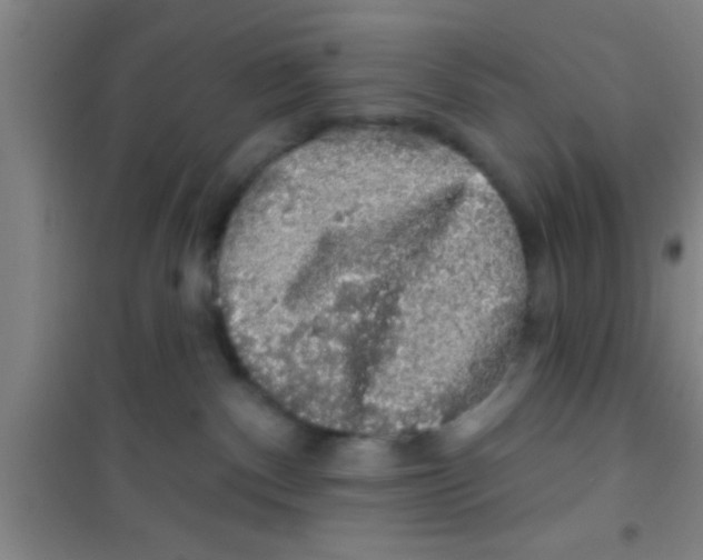 X0000100390140200807031958