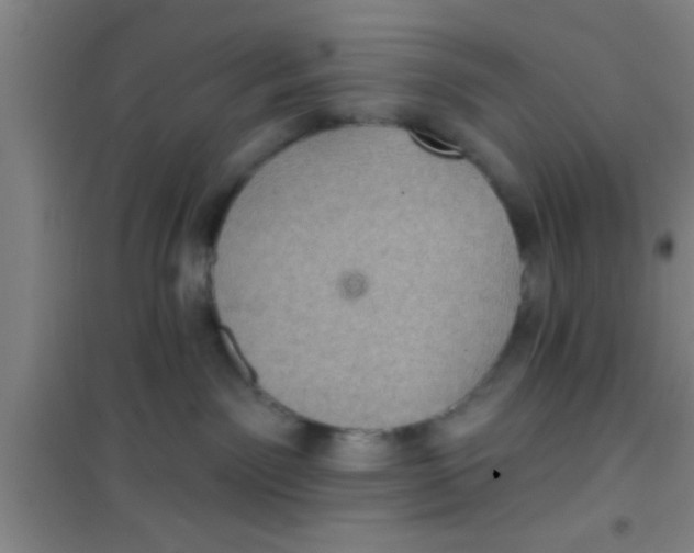 X0000100390141200807031958